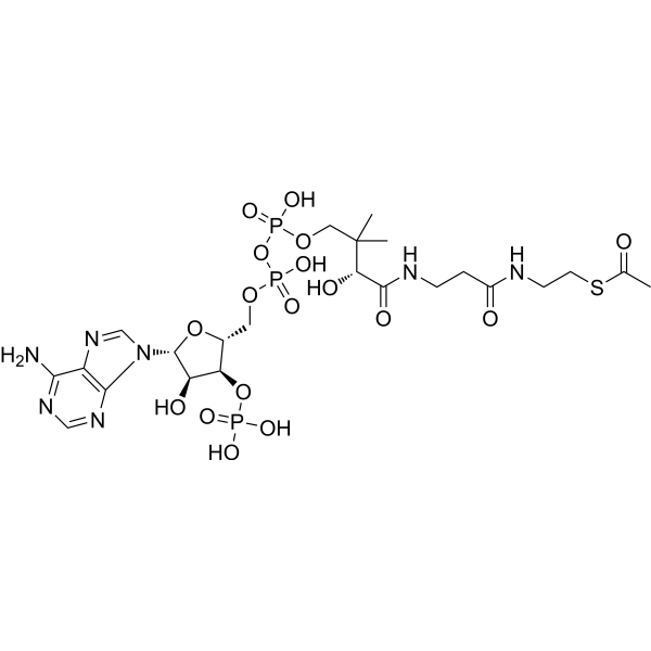 Acetyl coenzyme A (Acetyl-CoA) 72-89-9